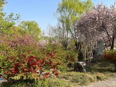 -石家庄市植物园