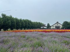 -富田农场