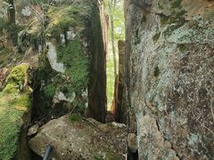 -五女峰国家森林公园