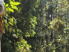 -艾溪湖湿地公园