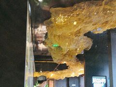 -顶特勒·黄鱼馆·特色菜(上海大世界店)