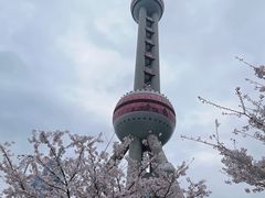 -东方明珠广播电视塔