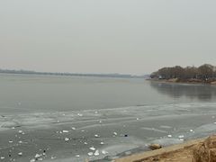 -丁香湖公园