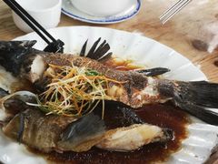 -马帮菜馆·美味野生菌
