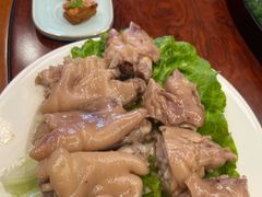 -丁老爷子苏香圆