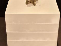 -上海崧泽遗址博物馆