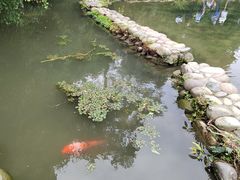-成都杜甫草堂博物馆