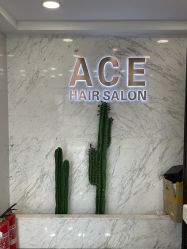 -ACE造型