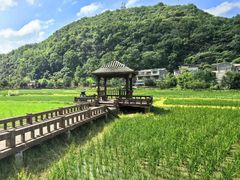 -高荡千年布依古寨旅游景区