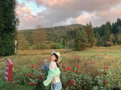 -武陵山森林公园