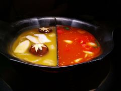 红颜花胶鸡锅-湊湊火锅·茶憩(石家庄万象城店)