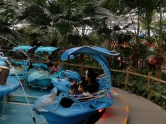 -南宫五洲植物乐园