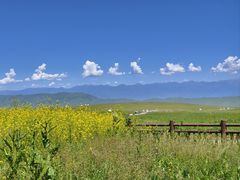 -新疆那拉提国家旅游度假区