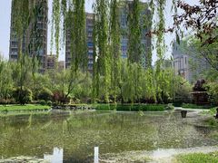 -木塔寺遗址生态公园