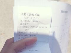 -瑞鹏宠物医院·猫科·宠保定点(梅溪湖分院)