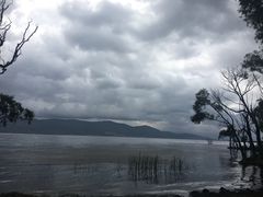 -才村湿地公园