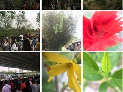 -竹泉村旅游度假区
