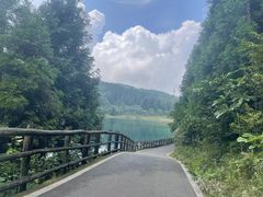 -武陵山森林公园