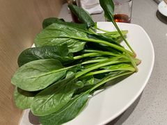 -海底捞火锅(漫乐城夜宵主题店)