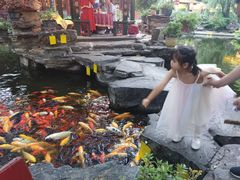 -白家大院·王府宫廷菜(苏州街店)
