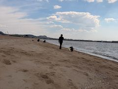 -辽宁团山国家级海洋公园