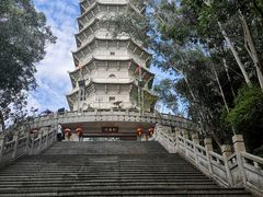 -深圳国际园林花卉博览园