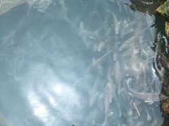 -海上驿站渔家菜馆