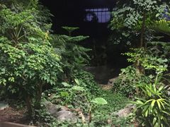 -龙达温泉生态城