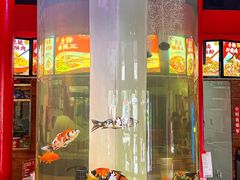 -秤砣砣·湖南粉面馆(青年路店)