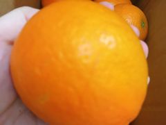 -菜园坝水果市场