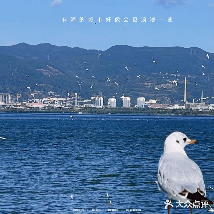 海埂大坝图片