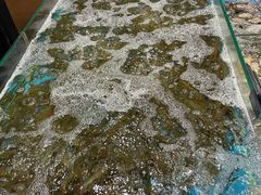 -徐记海鲜(观沙岭|滨江新城店)