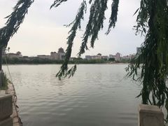 -莲花池公园