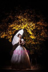 -施华洛婚纱摄影会所(范阳中路店)