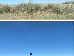 -敕勒川草原文化旅游区