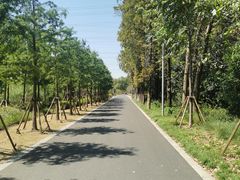 -昆山城市生态森林公园