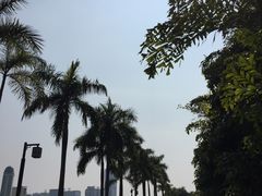 -南宁南湖公园