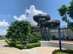 -芒洲湿地公园