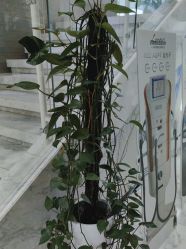 -上海漾颜医疗美容