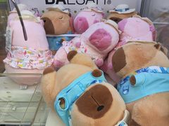 -813芭依珊 BAESAn(皇冠十畝地店)