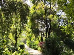 -广西壮族自治区药用植物园