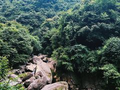 -龙窝子
