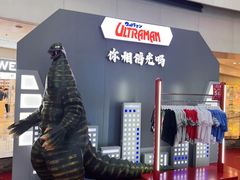 -鹏欣水游城