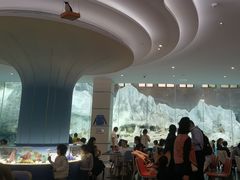 -帝企鹅自助餐厅•儿童岛•真企鹅(长隆企鹅酒店)