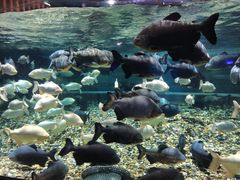 -成都浩海立方海洋公园