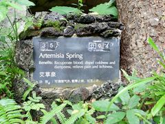 导游图-海口观澜湖火山温泉谷