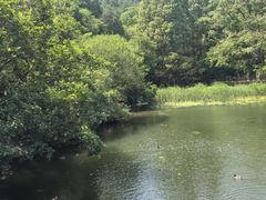 -国家植物园南园