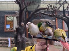 -西霞口神雕山野生动物世界