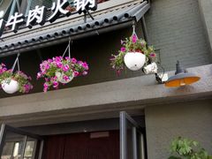 -手选潮汕鲜活牛肉火锅(二七广场店)