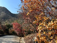 -北京鹫峰国家森林公园